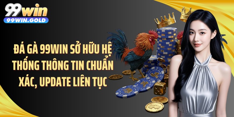 Đá gà 99WIN sở hữu hệ thống thông tin chuẩn xác, update liên tục