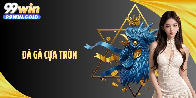 Đá Gà Cựa Tròn: Thế Trận Kéo Dài Và Đòn Đánh Lì Lợm