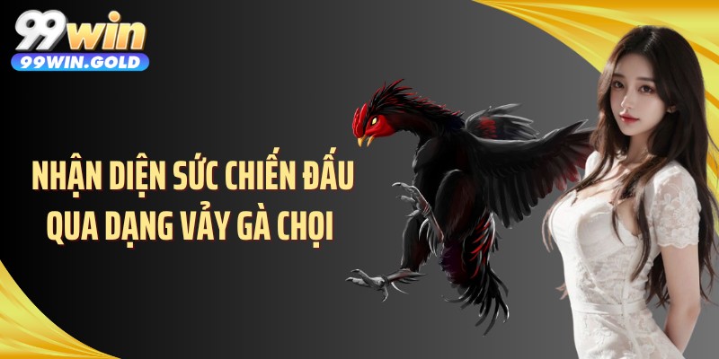Nhận diện sức chiến đấu qua dạng vảy gà chọi 