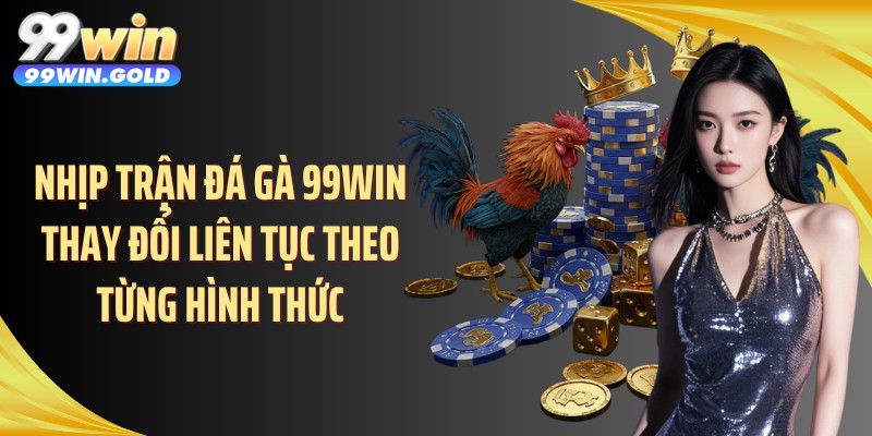 Nhịp trận đá gà 99WIN thay đổi liên tục theo từng hình thức