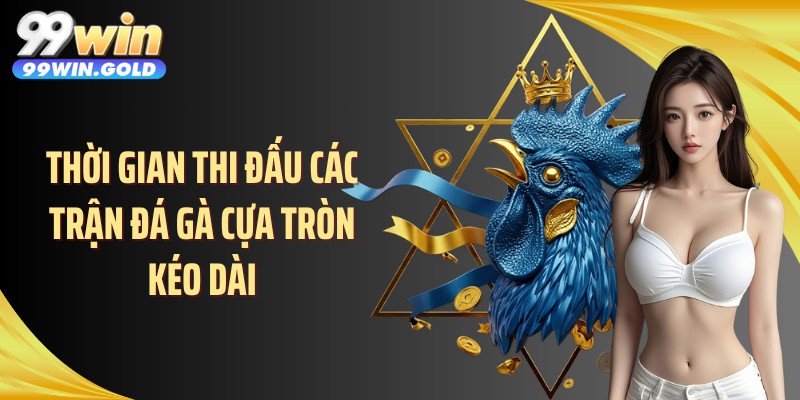 Thời gian thi đấu các trận đá gà cựa tròn kéo dài